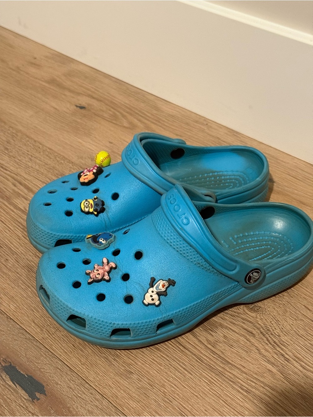 CROCS Clog in Bright Teal Blue with Character Jibbitz